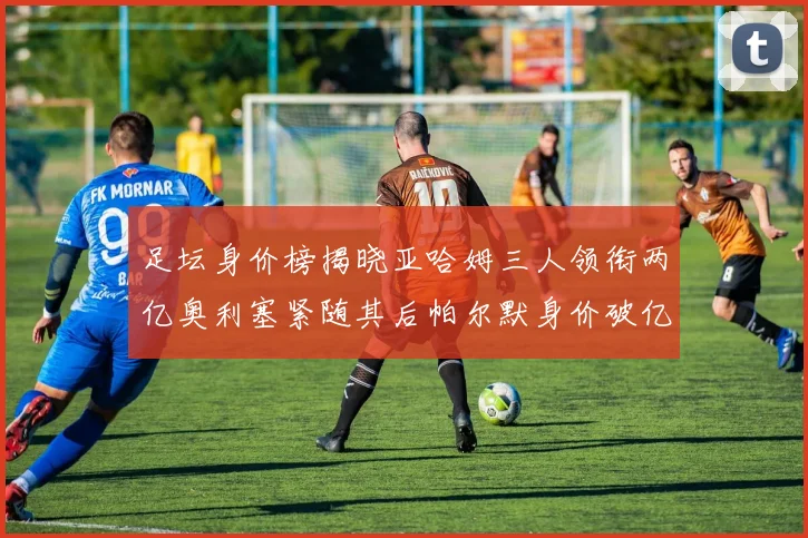 足坛身价榜揭晓亚哈姆三人领衔两亿奥利塞紧随其后帕尔默身价破亿